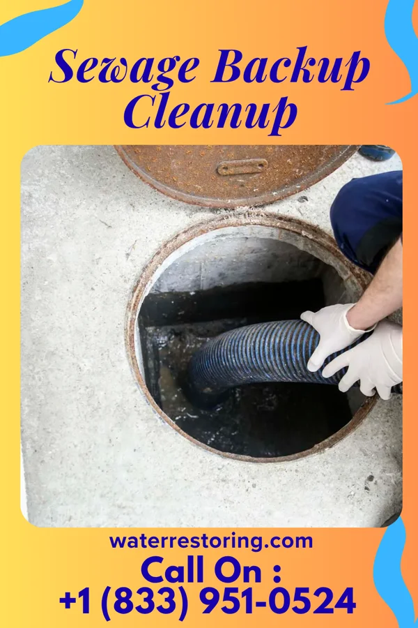 Sewage Backup Cleanup in Ruleville, MS
