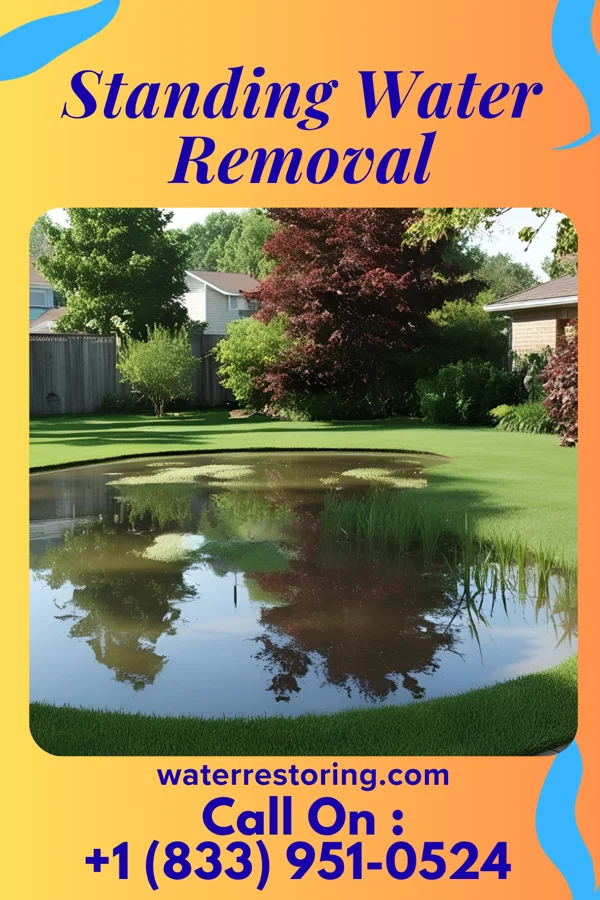 Standing Water Removal in Ruleville, MS